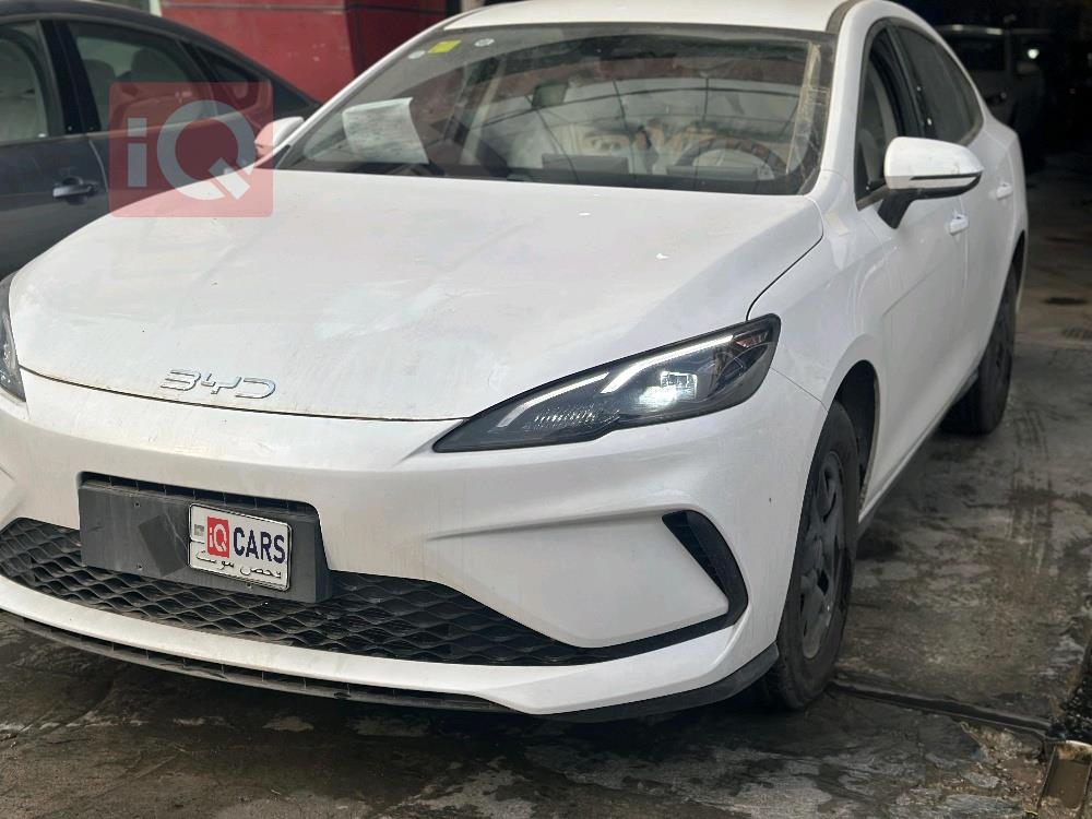 بي واي دي سيل 06 DM-i